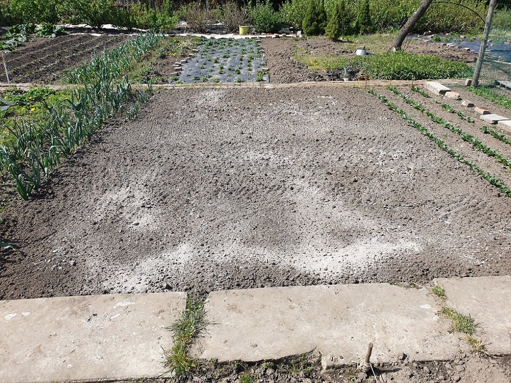 220411 parcelle travaillée_4.jpg