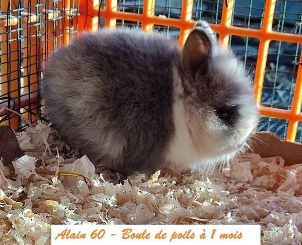 1 mois.jpg