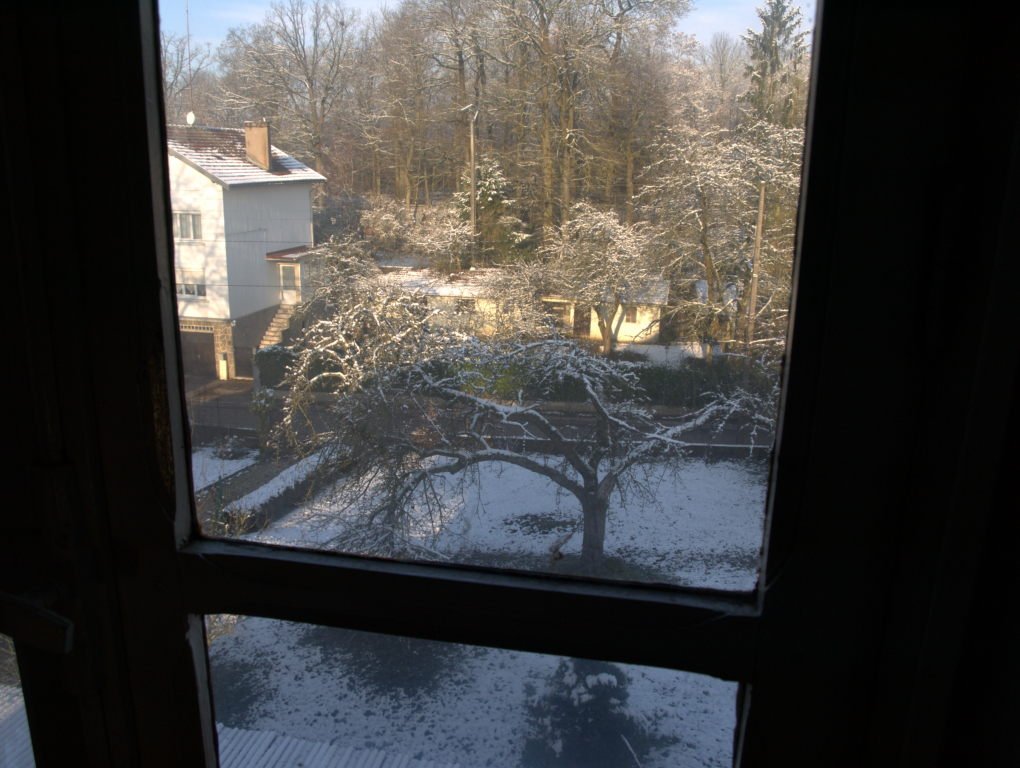 jardin2011.jpeg