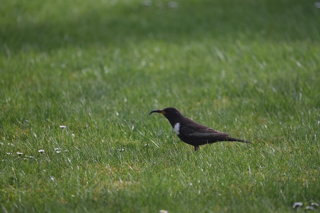 DSC_3959.JPG