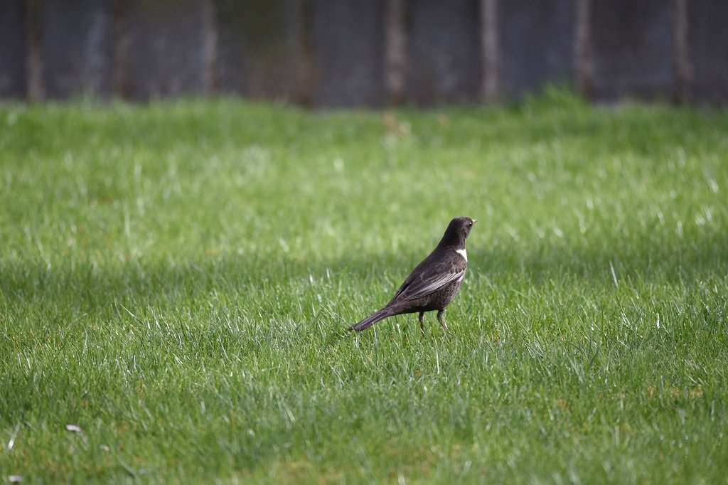 DSC_3962.JPG