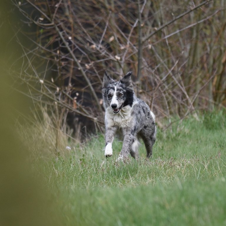 DSC_3990.JPG