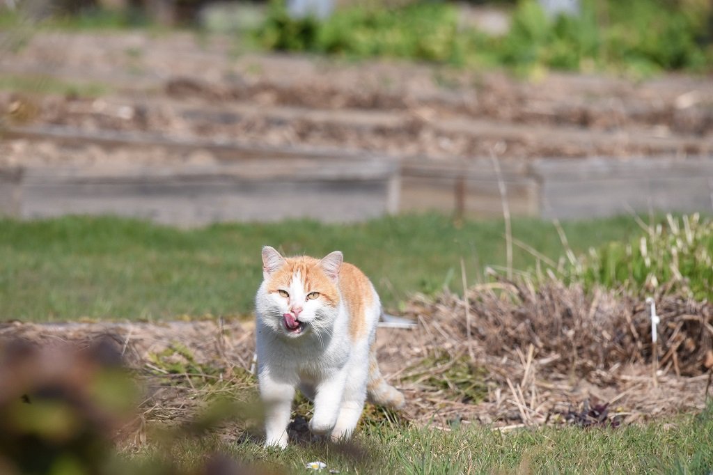 DSC_2697.JPG