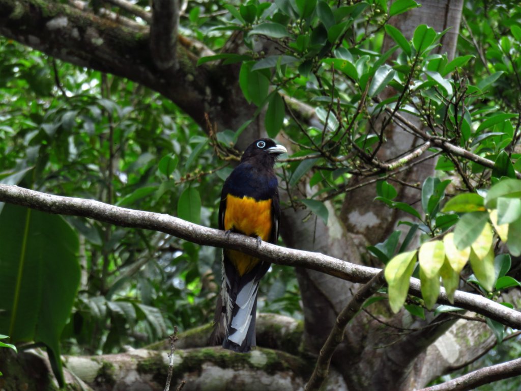 IMG_3799.JPG