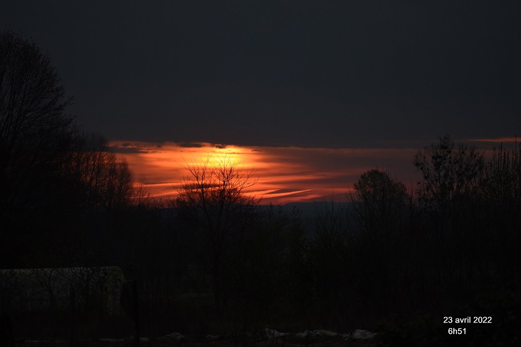 DSC_4772.JPG