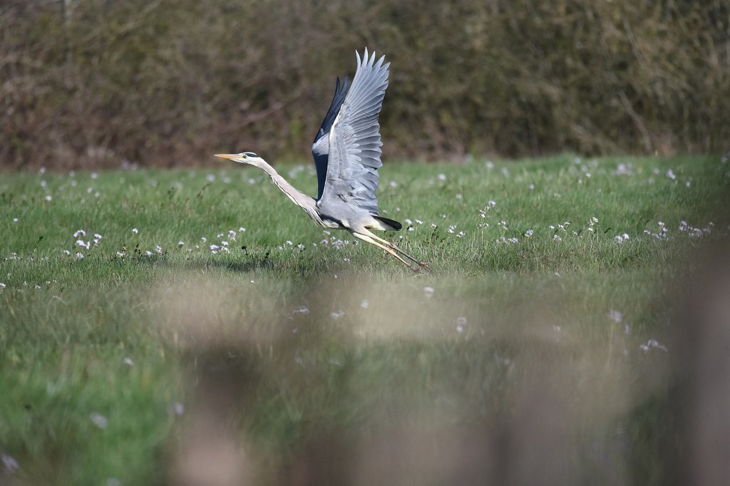 DSC_4364.JPG