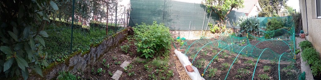 IMG_20220426_093136.jpg