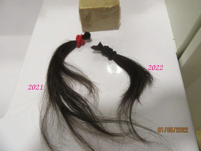cheveux.jpeg