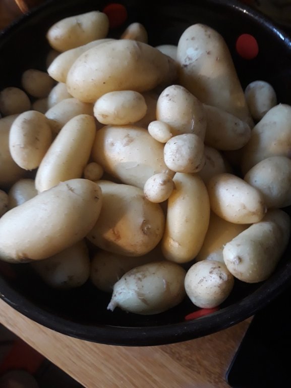 pommes de terre 5-5-22.jpg