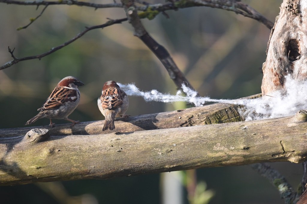 DSC_5472.JPG