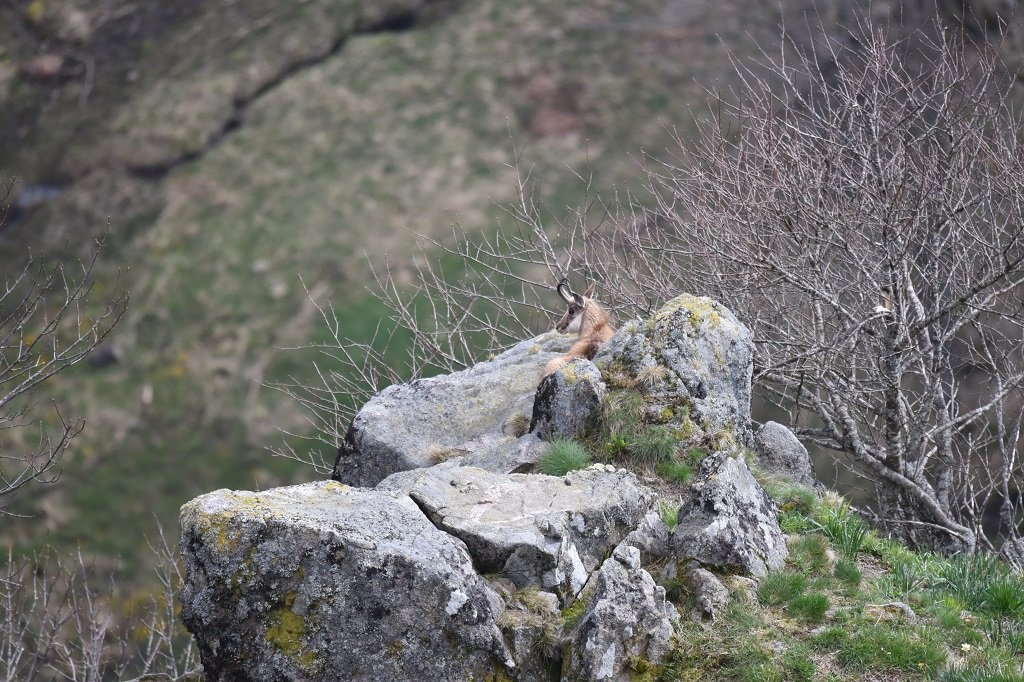 DSC_5533.JPG