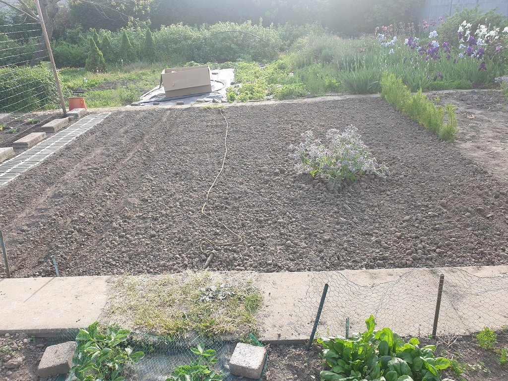 220509 pracelle prête à semer.jpg