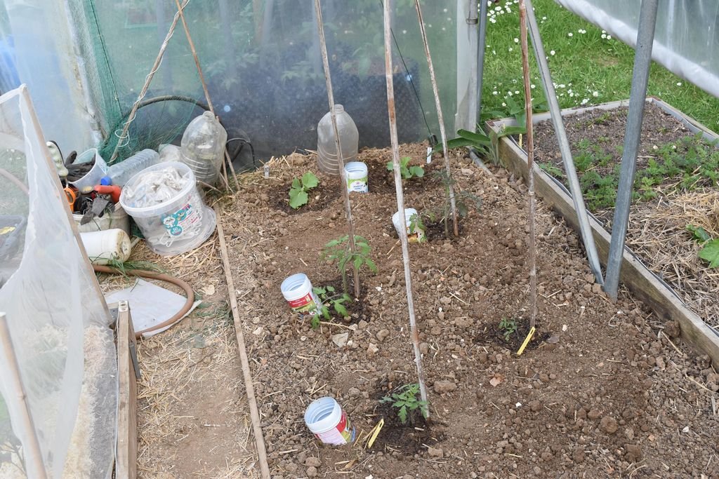 DSC_2212_melons et tomates_1024x768.JPG