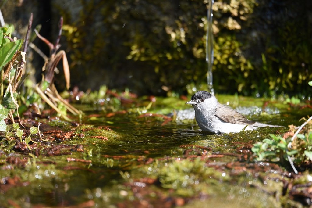 DSC_5913.JPG