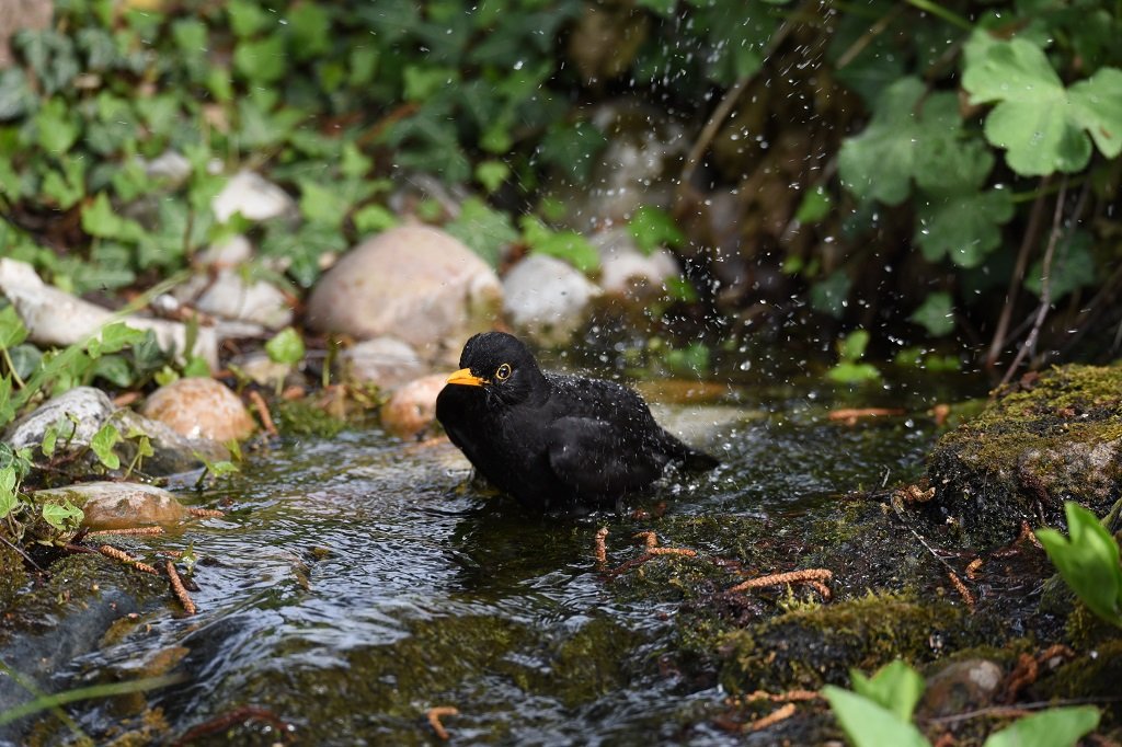 DSC_6101.JPG
