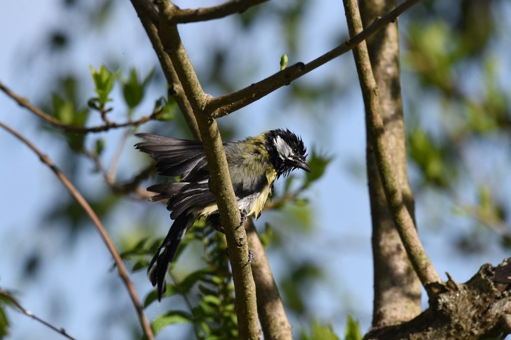 DSC_6260.JPG