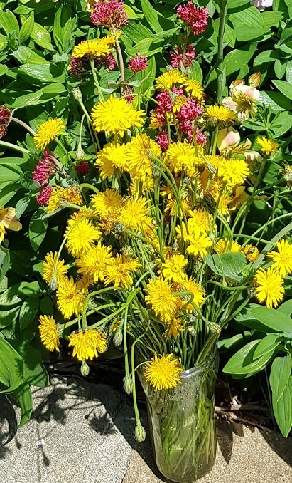 220518 bouquet adventices.jpg