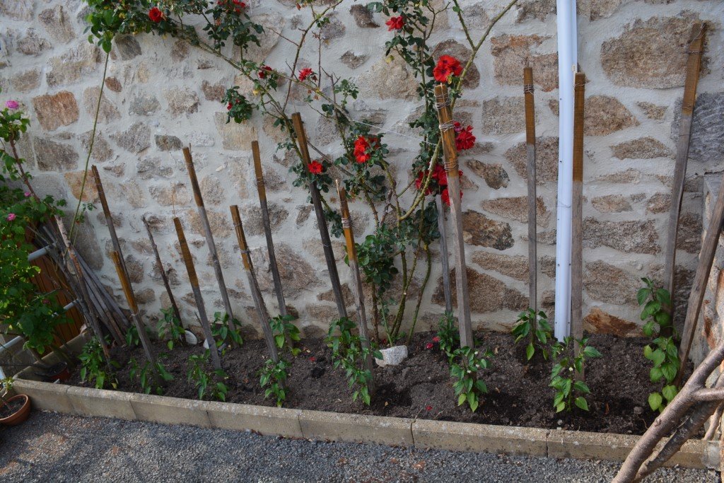 DSC_9682 (Personnalisé).JPG