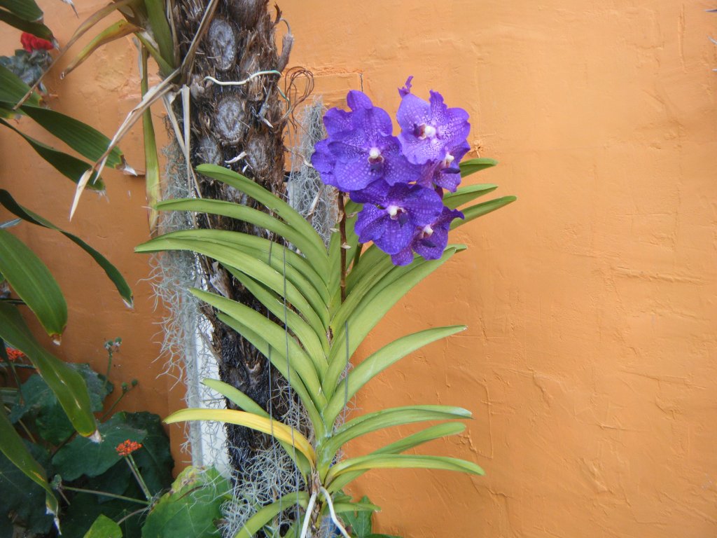 DSCF2645.JPG