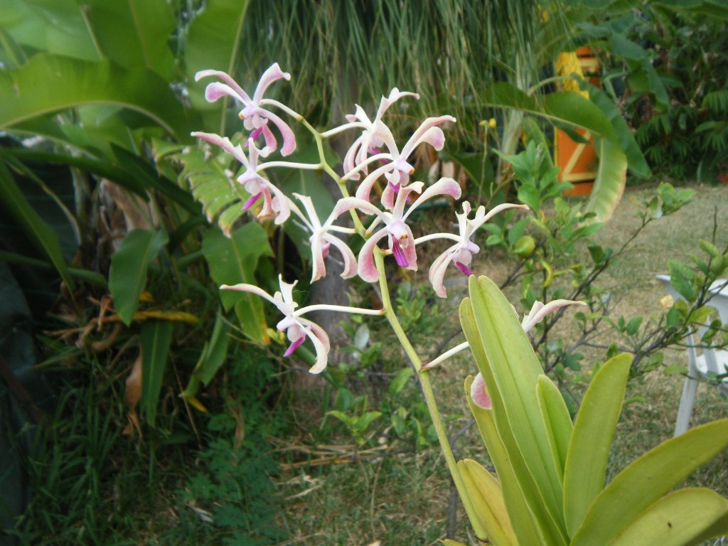 DSCF2646.JPG