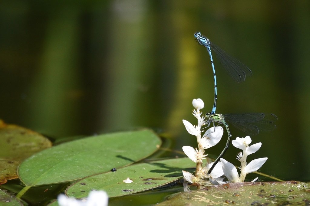 DSC_6562.JPG