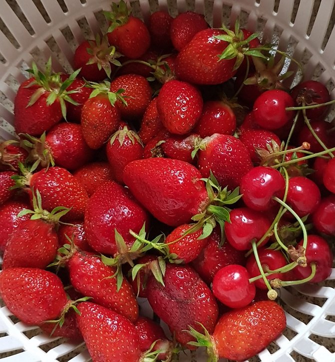 220522 fraises.jpg