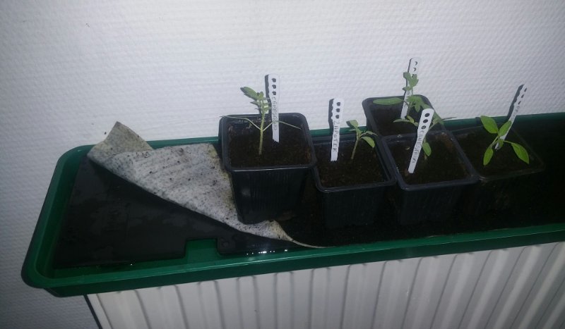 2019-04-09 13.48.34.jpg