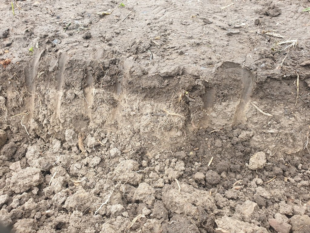 220520 terre sèche.jpg