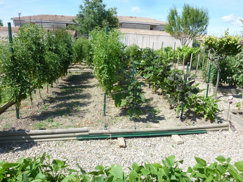 P1080123 (Personnalisé).JPG