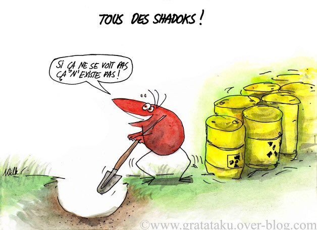 Shadoks-1.jpg