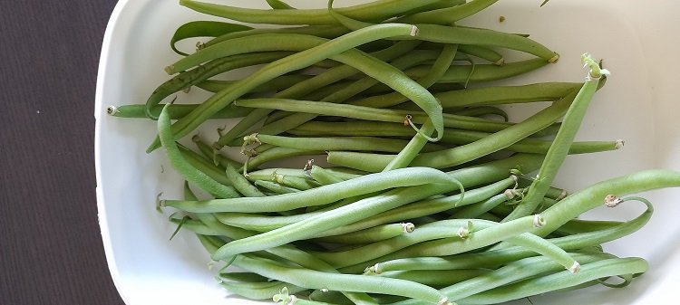 haricots 10-6-22.jpg