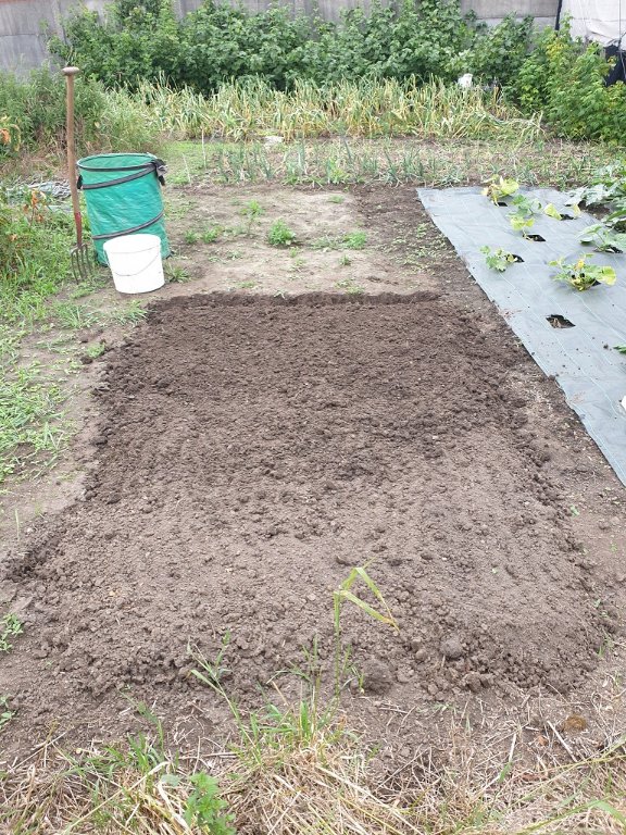220610 préparation parc à tomates.jpg