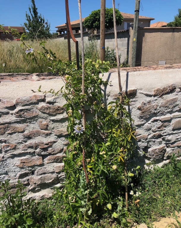 IMG_5018 (1).jpeg