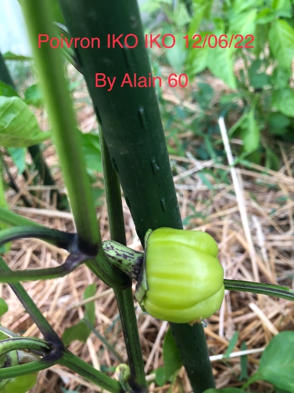 IMG_5003 2.jpeg