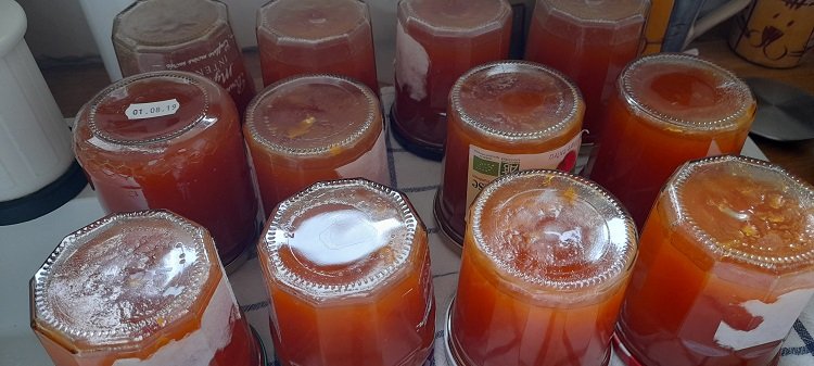 confiture d'abricots.jpg