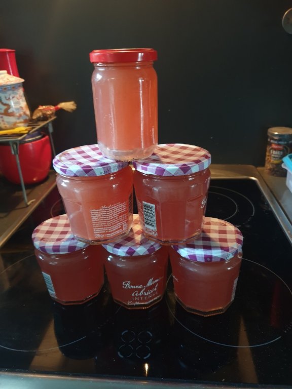 220618 gelée de groseilles GDS.jpg