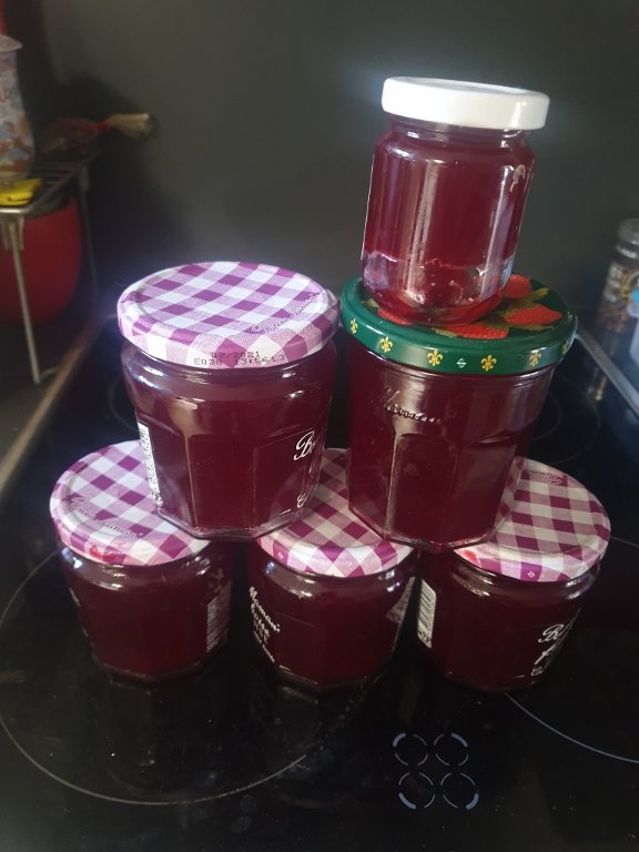 220620 gelée de groseilles rouges.jpg