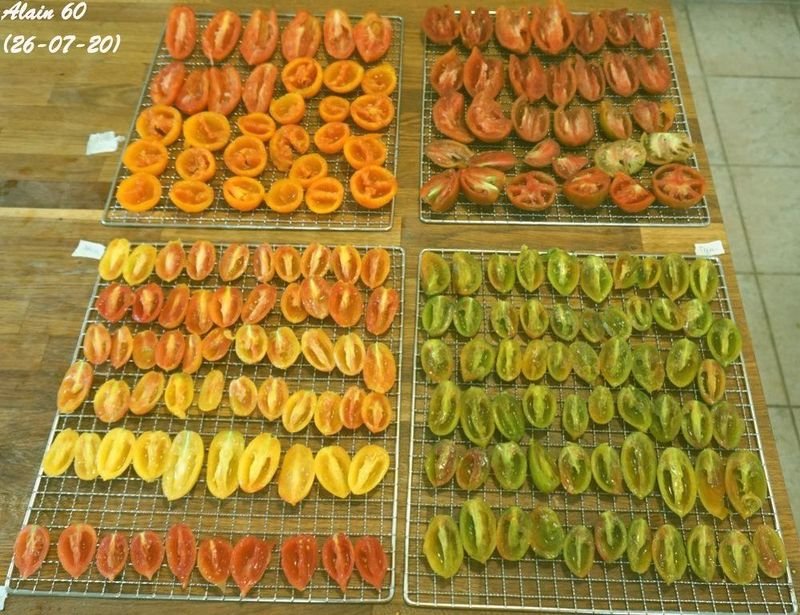 Tomates S.jpg