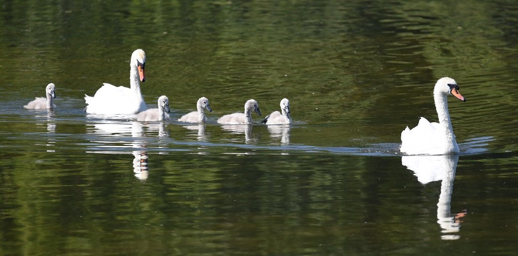 DSC_0004.JPG