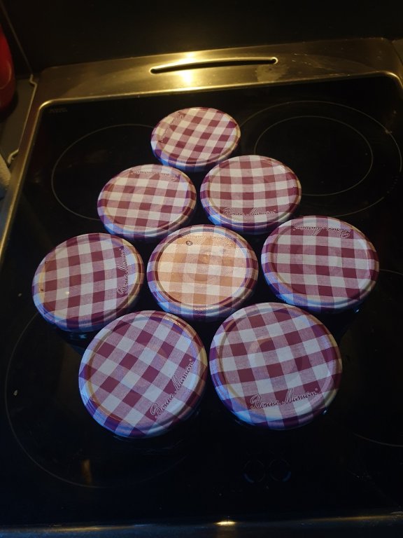 220627 8 pots de gelée de cassis.jpg