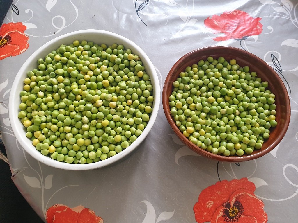 220628 petits pois.jpg