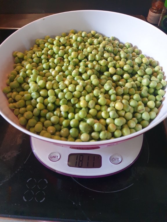 220628 pt pois écossés.jpg