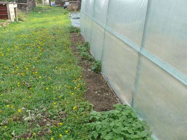 P1100202.JPG