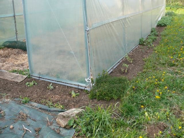 P1100203.JPG