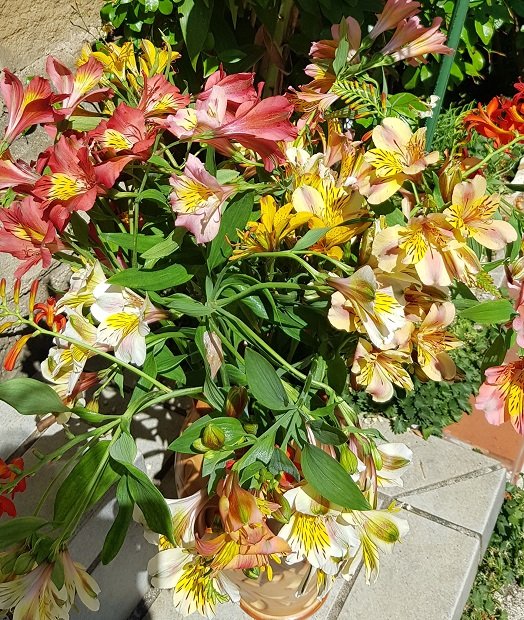 220703 bouquet b.jpg