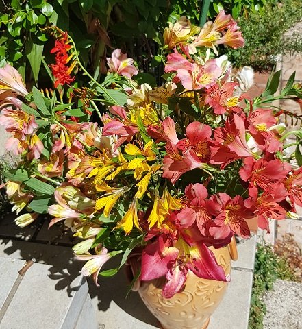 220703 bouquet.jpg