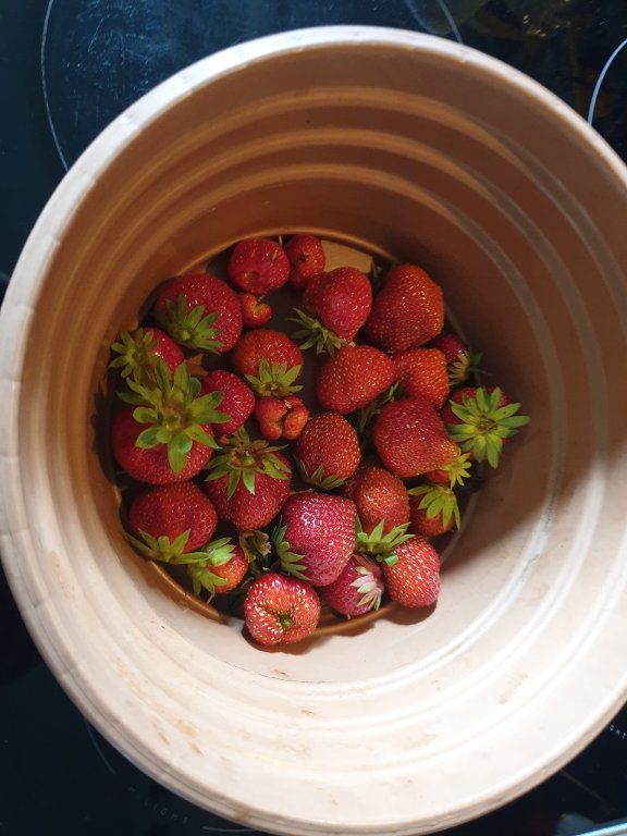 220706 fraises.jpg