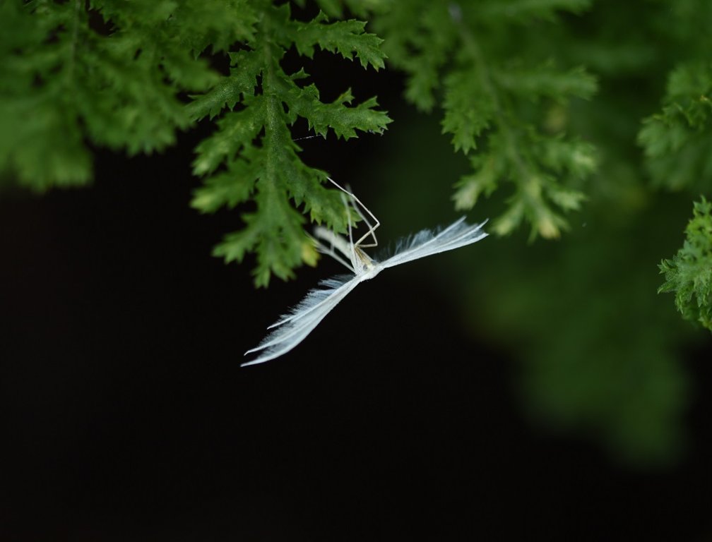 DSC_7359.JPG