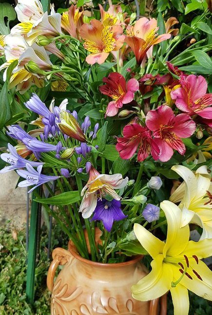 220710 bouquet.jpg