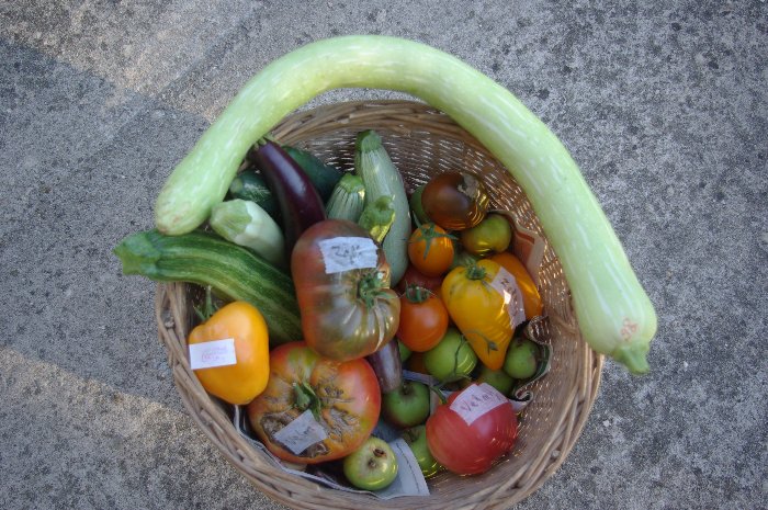 panier du 11 ou 12 juillet